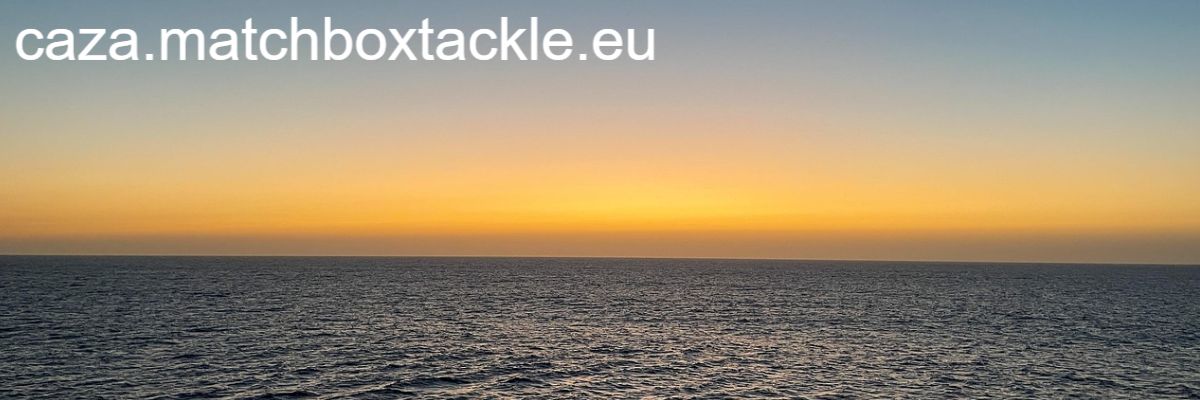 caza.matchboxtackle.eu